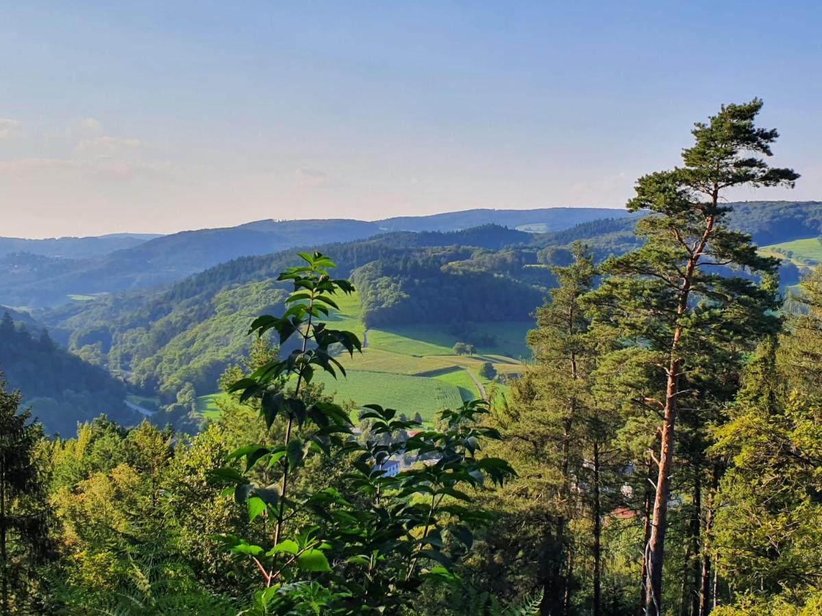 Odenwald-Lodge Mit Infrarotsauna Und E-Ladestation Im Naturpark Odenwald "Haus Himmelblau" Reichelsheim Exteriör bild