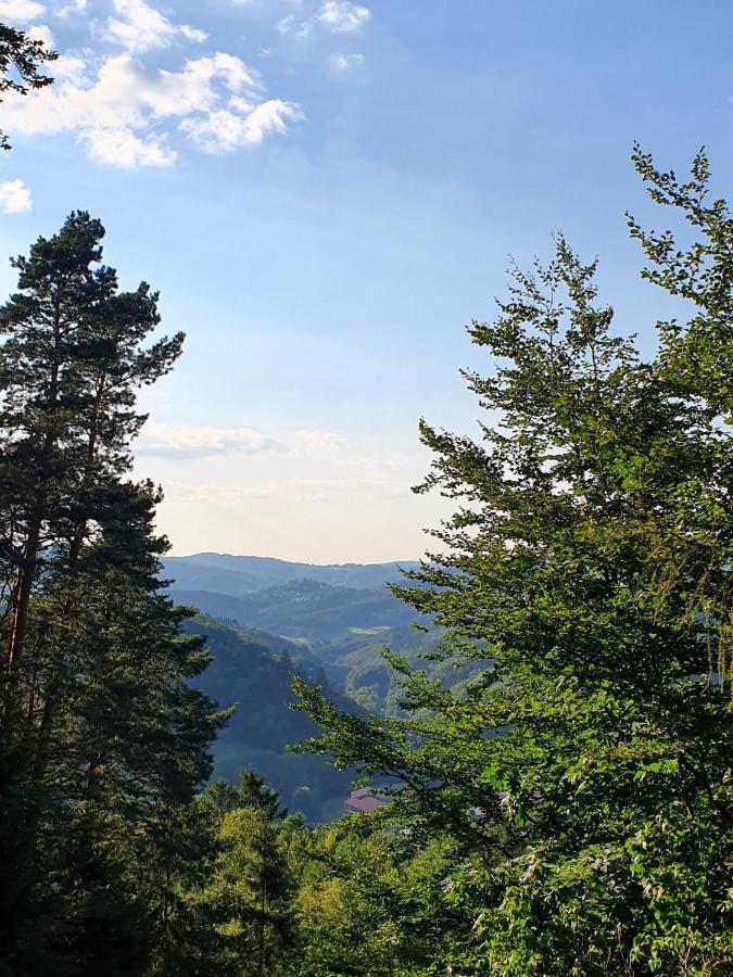 Odenwald-Lodge Mit Infrarotsauna Und E-Ladestation Im Naturpark Odenwald "Haus Himmelblau" Reichelsheim Exteriör bild